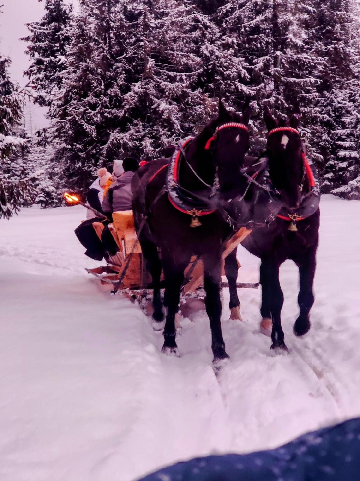 Eco Willa Karpatia Ski&Wellness Murzasichle Buitenkant foto