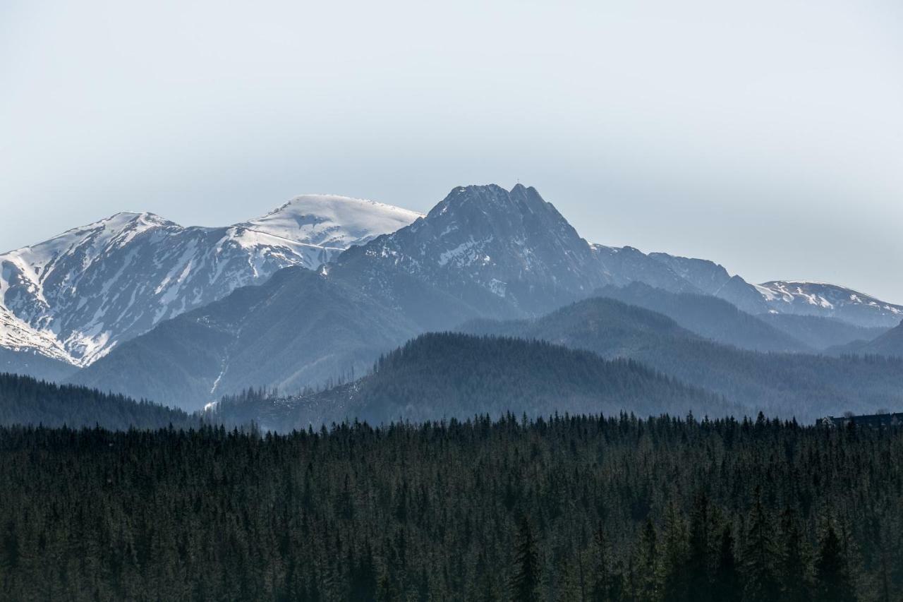 Eco Willa Karpatia Ski&Wellness Murzasichle Buitenkant foto