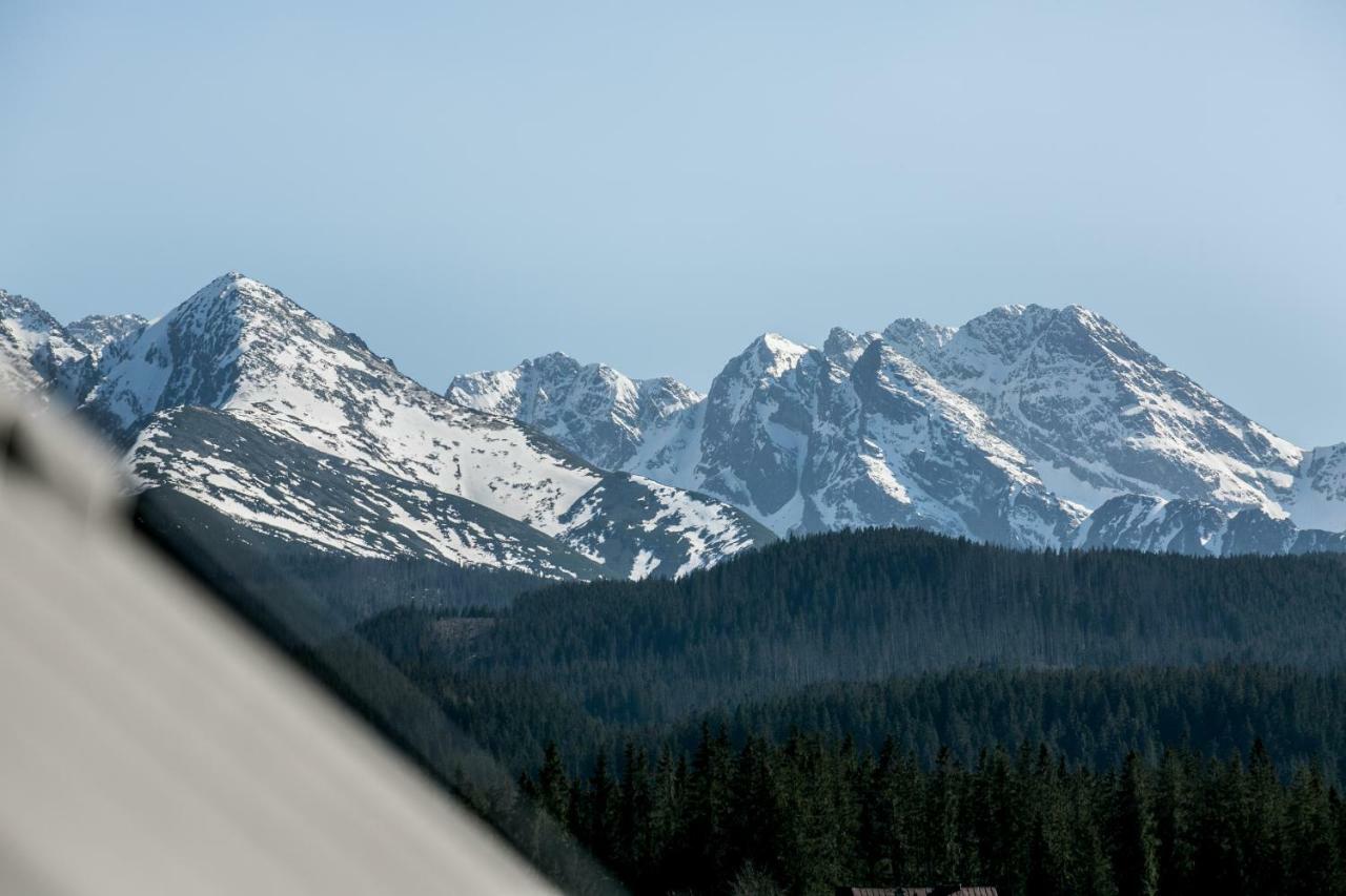 Eco Willa Karpatia Ski&Wellness Murzasichle Buitenkant foto