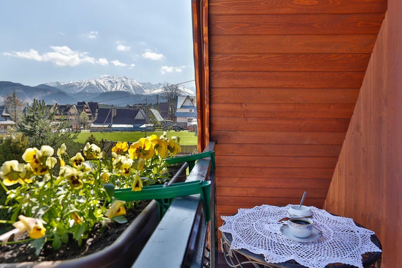 Eco Willa Karpatia Ski&Wellness Murzasichle Buitenkant foto